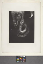 Oannès: "I, The First Consciousness Of Chaos..."