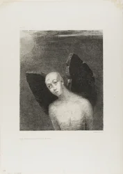 The Lost Angel Then Opened Black Wings, from Night