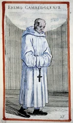 Hermit camaldulus