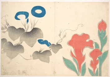 Design of Morning-glory and Other Flowers