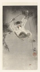 Monkey Hanging from Bamboo Branch