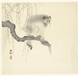 Monkey on Tree Branch