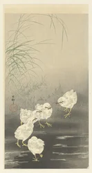Chicks and Worm