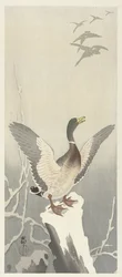 Duck on Snowy Tree Stump