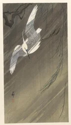 Egret in a storm