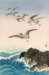 Five Seagulls Above a Rock in the Sea