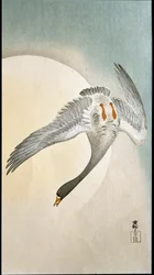 Flight of duck in moonlight