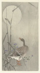 Goose by Full Moon