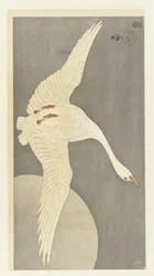 Goose by Full Moon