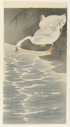 Geese on the Shore