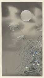 Grasses and Flowers by Full Moon