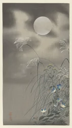 Grasses and Flowers by a Full Moon