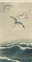 Gulls at Sea