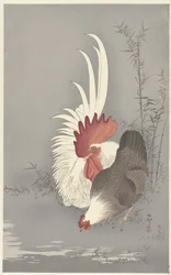 Rooster and Hen