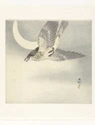 Cuckoo by the Waxing Moon