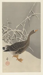 Bean Goose in the Snow