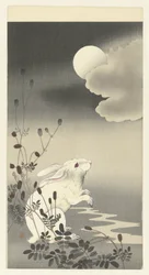 Rabbit Under Full Moon