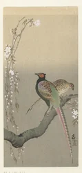 Pair of Pheasants and Cherry Blossoms