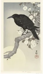 Crow by Full Moon