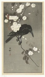 Crow with Cherry Blossom (Hana sakura no tori)
