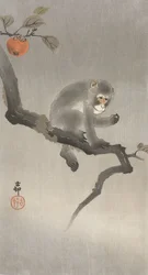 Monkey in a Fruit Tree