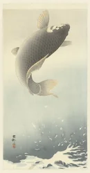 Leaping Carp