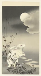 Rabbit under a Full Moon