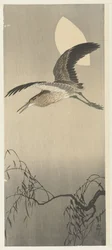 Heron and Moon