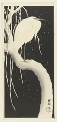 Heron in Snow