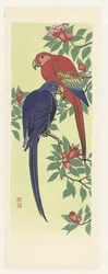 Red and Blue Parrot