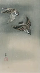 Sparrows in flight