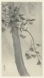 Long-tailed Tit in Storm