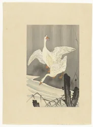 Two Geese by a River