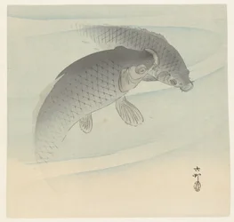 Two Carps