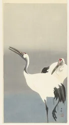 Two Cranes
