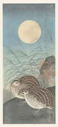 Two Quails by the Full Moon