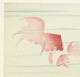 Two Goldfish
