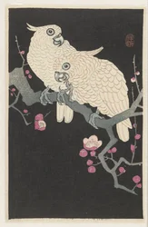 Two Cockatoos and Plum Blossom