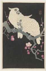 Two cockatoos and plum blossom