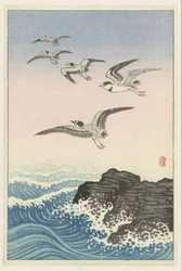 Five Seagulls Above Rock in Sea