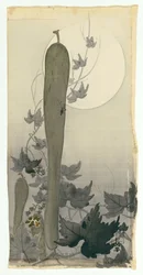 Wild cucumber with full moon