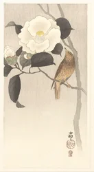 Songbird and Blooming Camellia