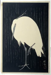 Egret in the Rain