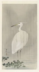 Silver Heron in Rain