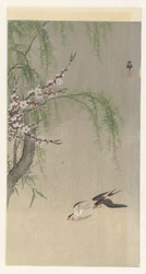 Swallows in Flight