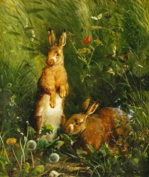 Hares, 1878