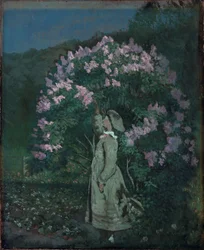 The Lilac Bush