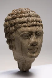Head of a man