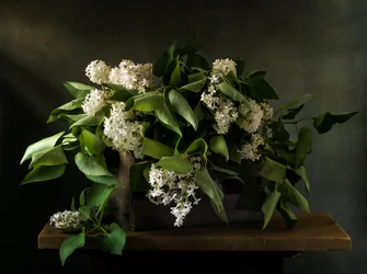 Moody Lilac Bouquet