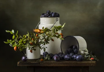 Rustic Plum Harvest